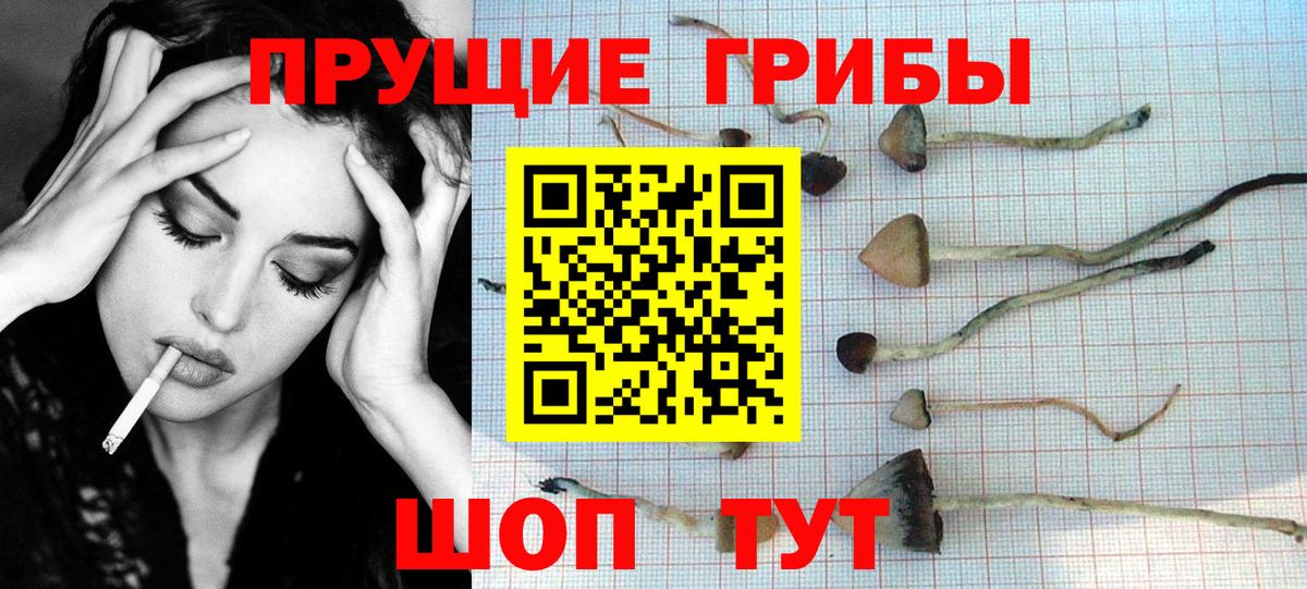 Самара  Галлюциногенные грибы ЛСД  Псилоцибиновые грибы Psilocybe  Вход с VPN 
