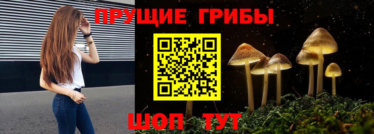 Псилоцибиновые грибы Psilocybine cubensis Самара